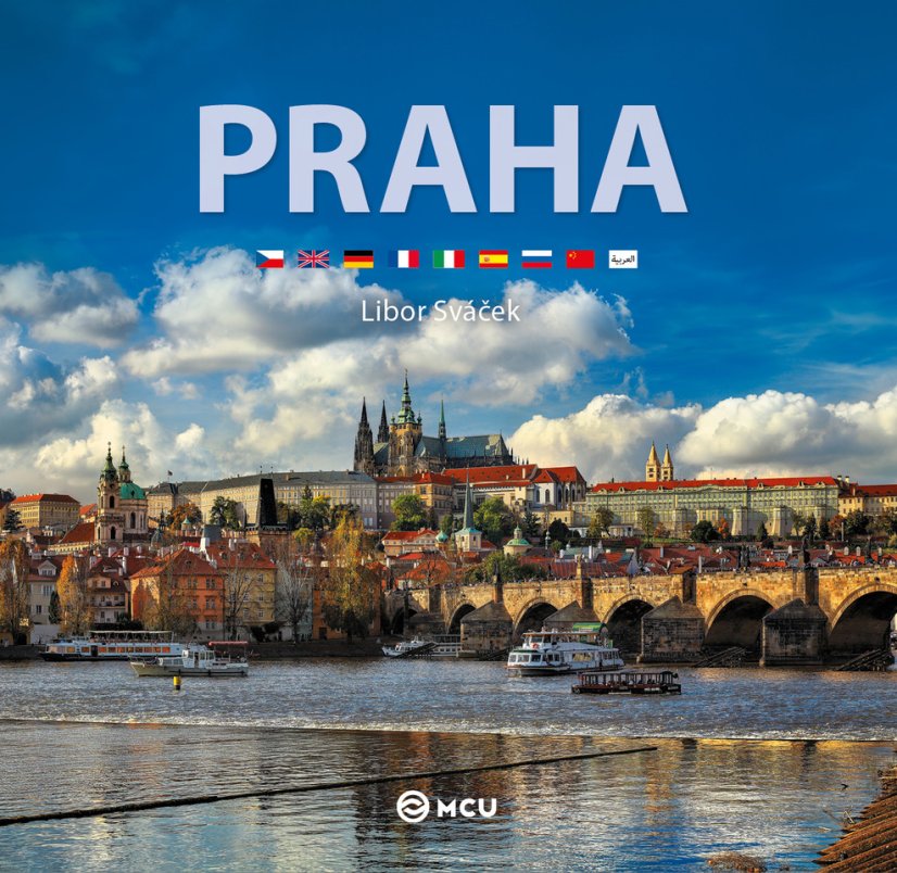 Obrázek