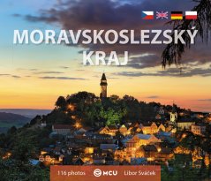 Obrázek (220)