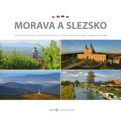 Obrázek (218)