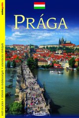 Obrázek (301) Obrázek (301)
