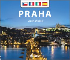 Obrázek (265) Obrázek (265)