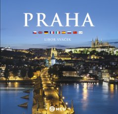 Obrázek (260)