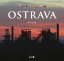 Obrázek (231)