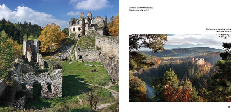 Obrázek (6)